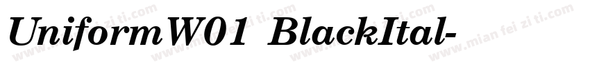 UniformW01 BlackItal字体转换